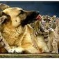 Kathy Pappas Photo 8