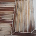Elizabeth Plank Photo 15