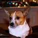 Edgar Russell Photo 29