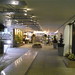 Susan Gould Photo 37