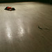 Tonya Miller Photo 16