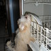 Maxine Lang Photo 8