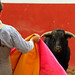 Antonio Rosales Photo 43
