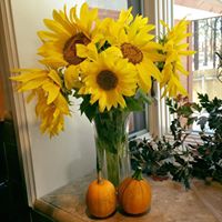 Julie Bashaw Photo 5