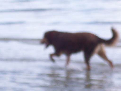 Sadie Watson Photo 4