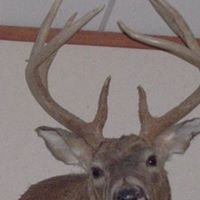 Brian Schlueter Photo 8