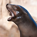 Vickie Winters Photo 16
