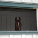 William Cowart Photo 21