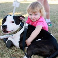 Erin Cross Photo 41