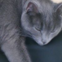 Timothy Groves Photo 5