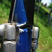 Craig Roth Photo 11