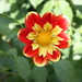 Leslie Hamilton Photo 8