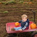 Susan Yoder Photo 36