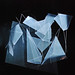 Lydia Ng Photo 24