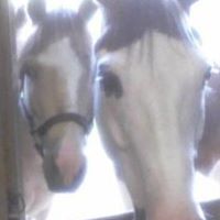 Sherry Duke Photo 7