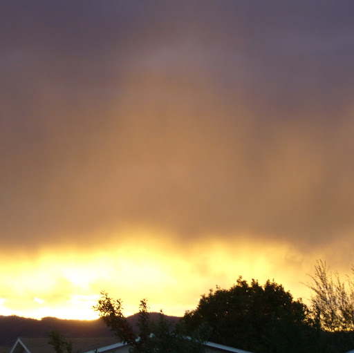 Linda Overman Photo 7