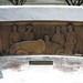 Allison Trotter Photo 12