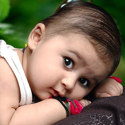 Shiv Gupta Photo 28
