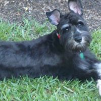 Mary Higginbotham Photo 10