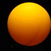 Ping Sun Photo 15