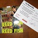 M Reed Photo 7
