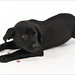 Sherry Shipley Photo 18