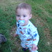 August Nicholas Photo 7