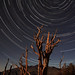 Steven Stack Photo 30