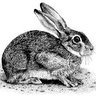Jess Atkinson Photo 17