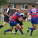 David Priddy Photo 18