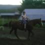 Brenda Colvin Photo 22