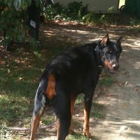 Janice Evans Photo 44