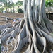 Meredith Root Photo 9