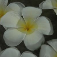Marie Robins Photo 3