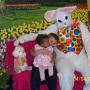 Sharon Hinrichs Photo 4