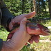 Gene Stringer Photo 10