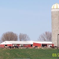 Janice Lindstrom Photo 8