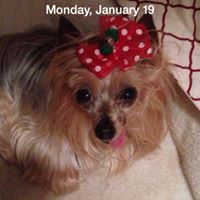 Judy Mcclain Photo 24