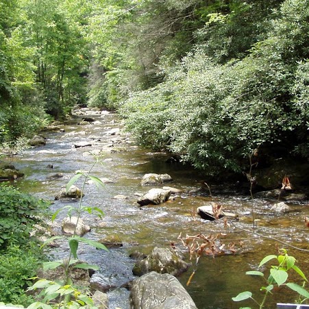 Dennis Wiley Photo 36