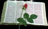 Sandra Toledo Photo 29