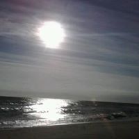 Barbara Wrenn Photo 9