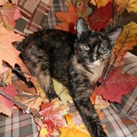 Susan Stover Photo 40