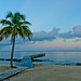 Debra Costa Photo 18