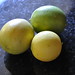 Steve Lemons Photo 27