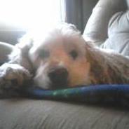 Lisa Bagwell Photo 17