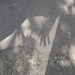 Barbara Hand Photo 9
