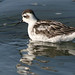 Marc Shulman Photo 15
