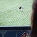 Jose Bautista Photo 19