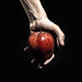 Stewart Lamb Photo 15