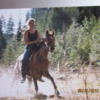 Shawn Albright Photo 23